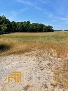 0 C O Draper Road, Danielsville, GA, 30633