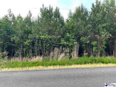 Ward Street Highway Sc #1102, Effingham, SC, 29541