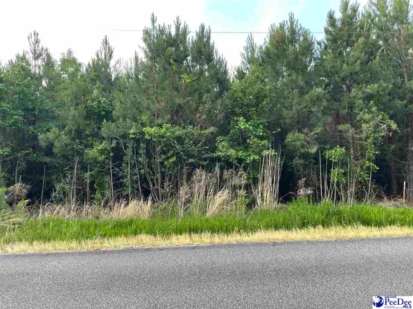 Ward Street Highway Sc #1102, Effingham, SC 29541