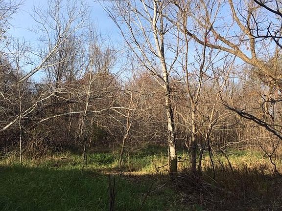 Build! Farm! Hunt! +/-39 Acres, Rush City, MN: woods on site