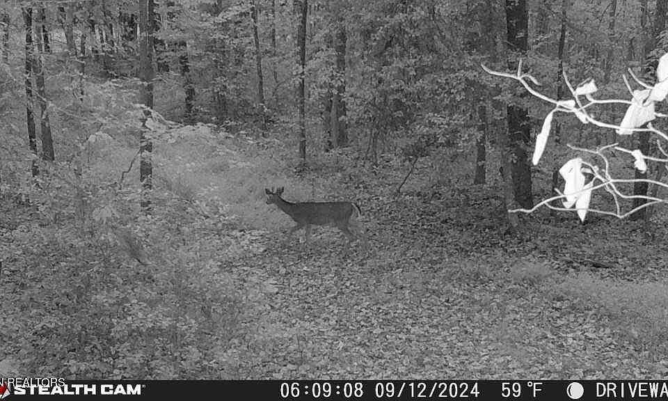 1st image of Smith Mountain Rd