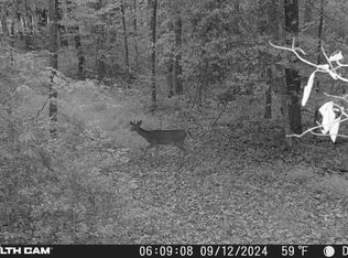 Smith Mountain Rd, Rockwood, TN 37854