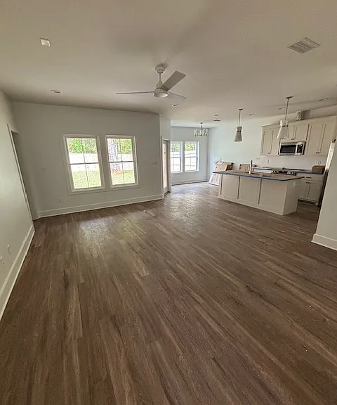 Living room and kitchen