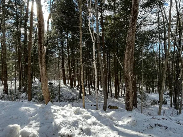 8 Forest Hill Dr, Hinsdale, MA 01235