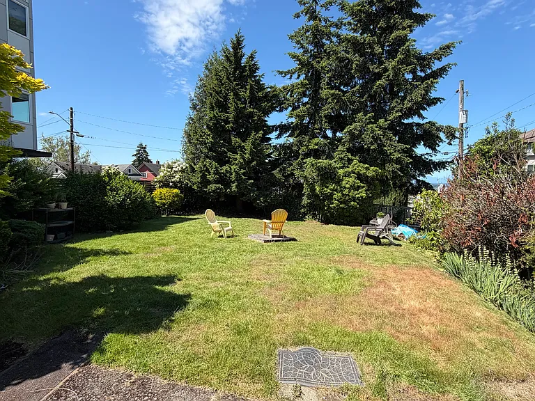 Shared Yard