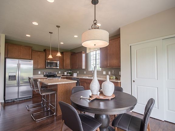 Model Representation