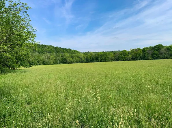 000 County Road 955, Squires, MO 65755