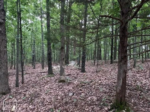 212 Powell Hollow Rd, Hardy, AR 72542