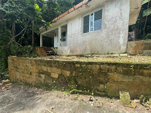 Carr 123 Km 64.5 Bo Caniaco, Utuado, PR 00641