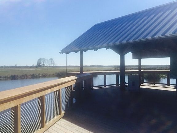 Paynes Prairie Park