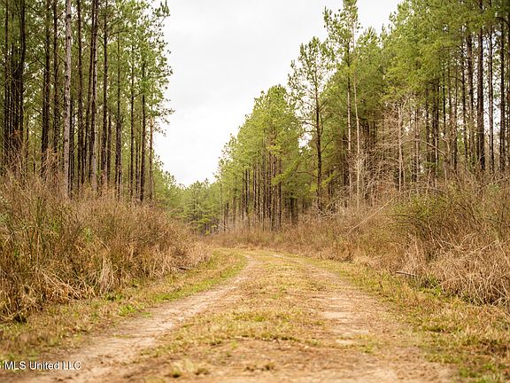 3rd image of County Road 8