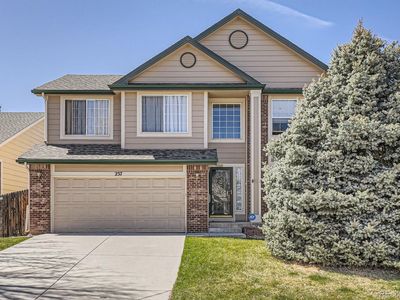237 Cherry Street, Castle Rock, CO, 80104