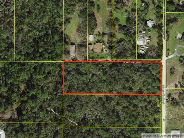 0 Norcross Ln Lot 20, Odessa, FL 33556