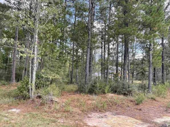 25907 Clyde Blount Rd, Livingston, LA 70754