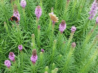 9256 Colvin Rd, Centerville, IN 47330