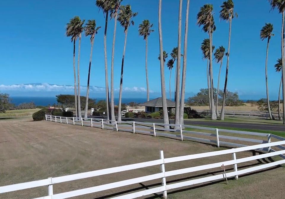 ふく29 THE UNION TWENTY FIVE / Black | FLATBUSH（フラットブッシュ