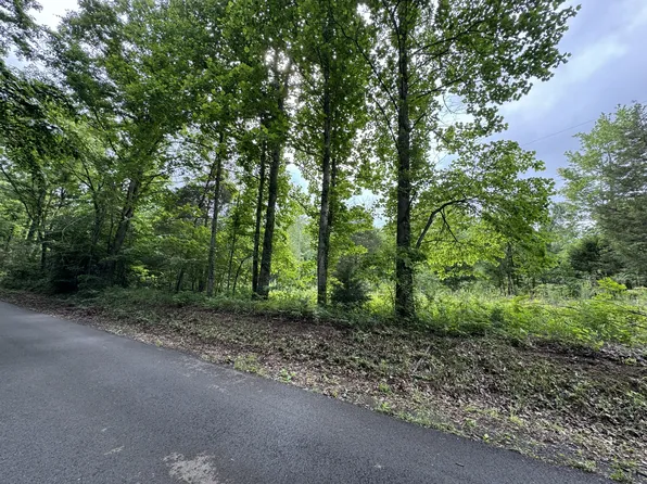 0 B Y Brown Rd, Charlotte, TN 37036
