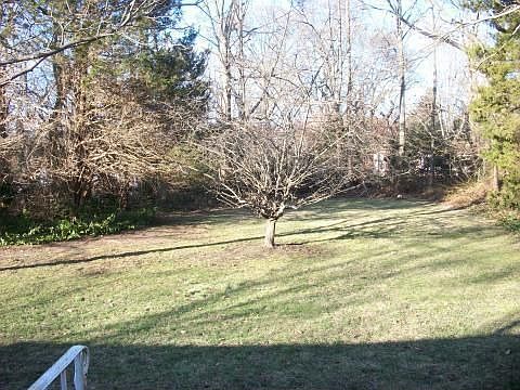 HUGE backyard