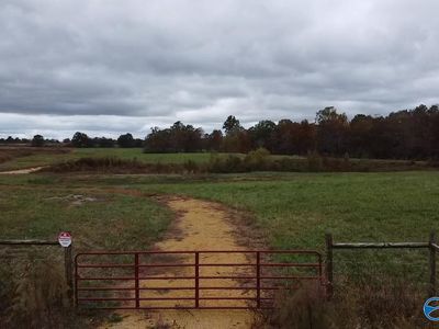 County Road 429, Fyffe, AL, 35971