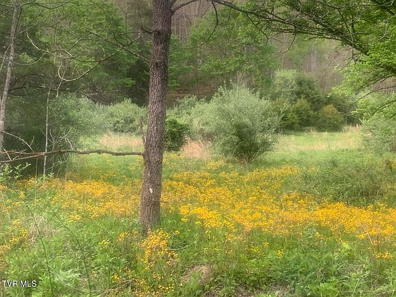 3rd image of Osborne Ridge Rd