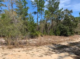 0 Perry Ave, Interlachen, FL 32148