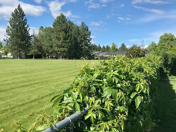 Nice View out Back Yard Fence