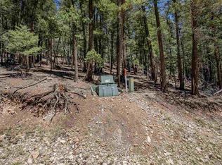 Forest View Rd, Cloudcroft, NM 88317
