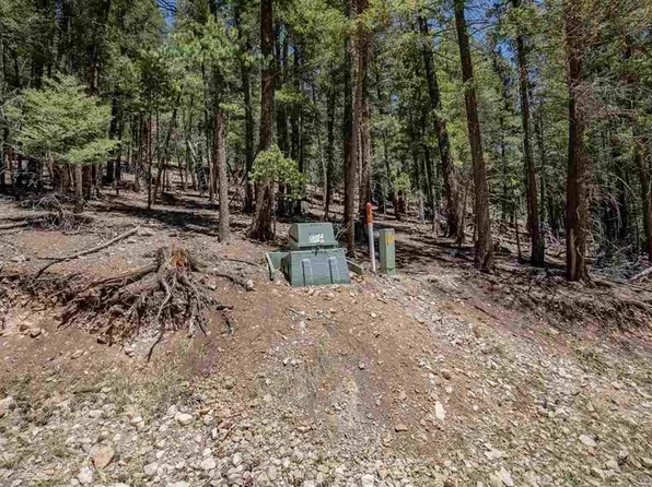 Forest View Rd, Cloudcroft, NM 88317