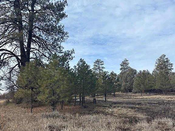 2nd image of 1046 Crooked Road