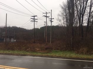 0 State Rd LOT 18, Colden, NY 14033