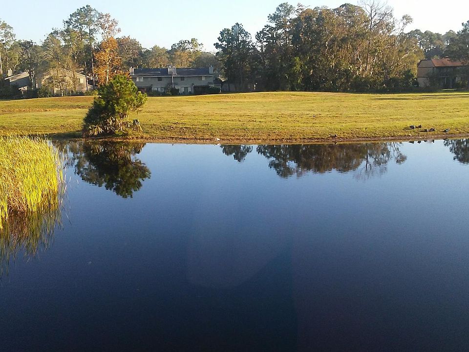 View of the Lake from the Dining Room Window
