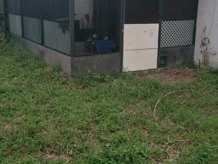 Screen Patio