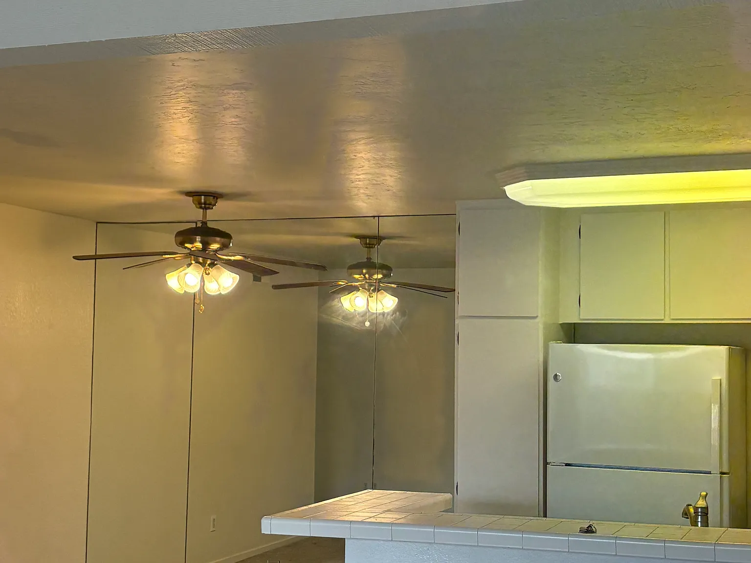 3 bed, 1100 sqft, $3,300 — Photo 4