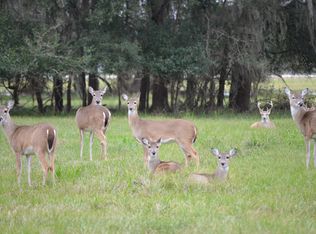 583 Longhorn Trl, Angleton, TX 77515