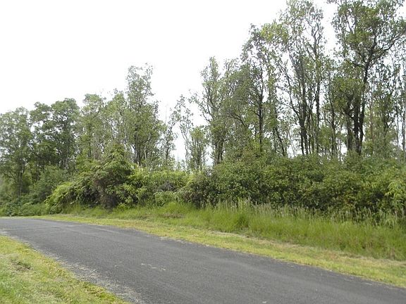 2nd image of Hibiscus St Lot 7424