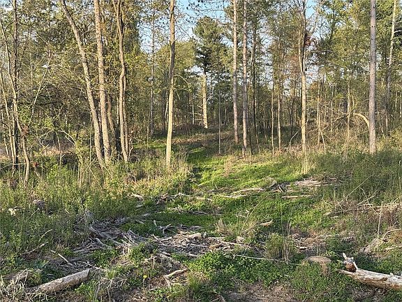 3rd image of TBD State Highway 65 - Lot 1