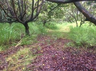 34-170 Kaihuiki Rd LOT 52, Papaaloa, HI 96780