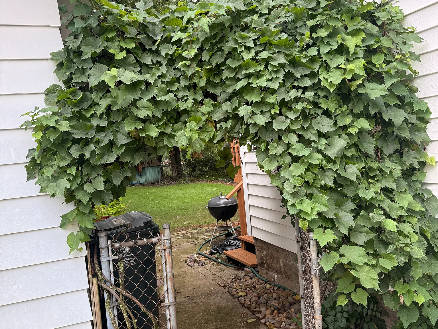 3 bed, 1500 sqft, $2,950 — Photo 3