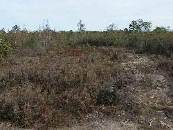 LOT Three Olon Bankston Rd #D, Kentwood, LA 70444