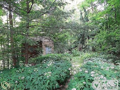 Stone path to Shed.jpg