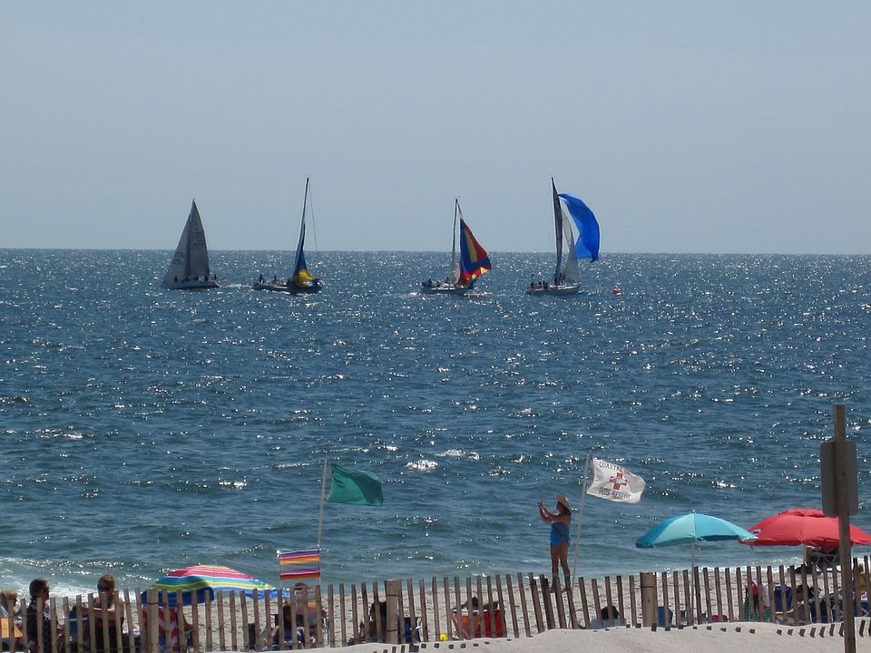 View of Sailboat Race