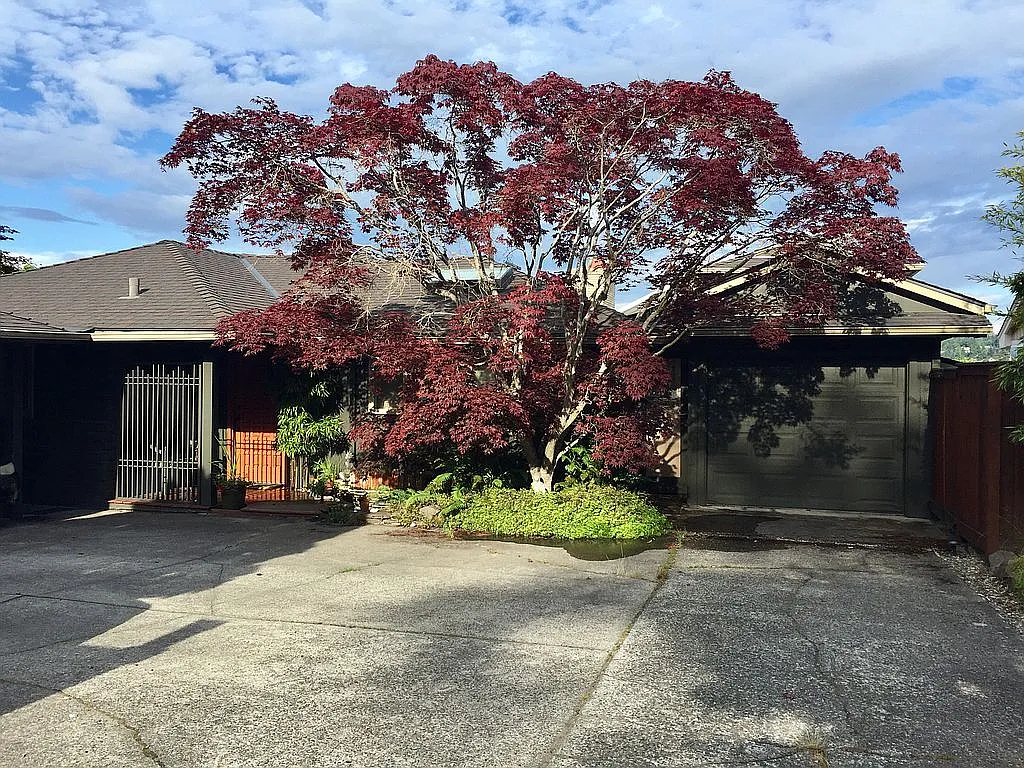 16130 Bothell Way NE photo 1