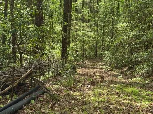 348 Hemlock Trl, Ellijay, GA 30540