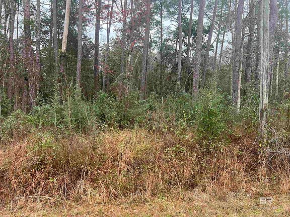 4th image of 7165 Cook Rd