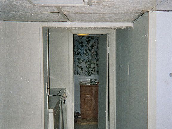 basement Laundry & full bath