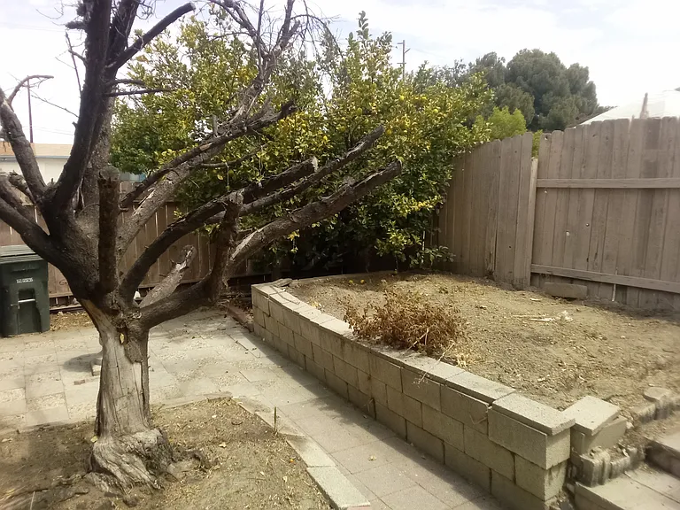 690 San Pasquell St — Photo 3