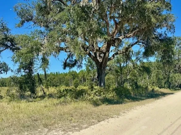 0 NE 35th St, Bronson, FL 32621