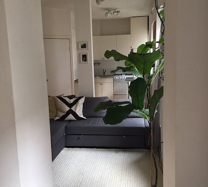 1st image of 308 Mott St APT 6A