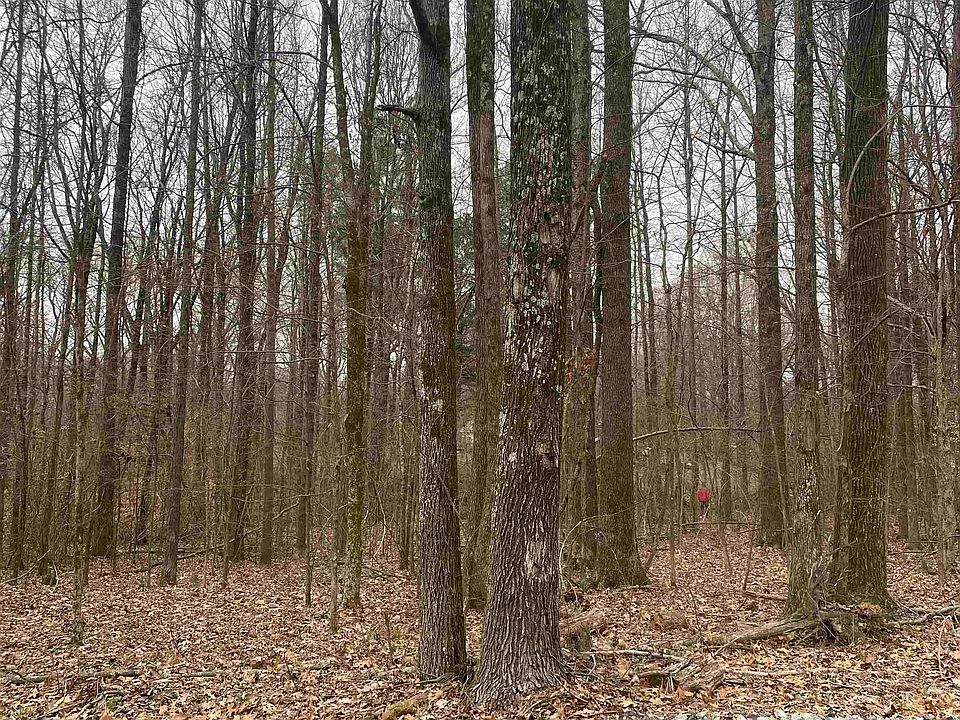 1st image of LOT 257 Woodland Lake Dr Lot 257