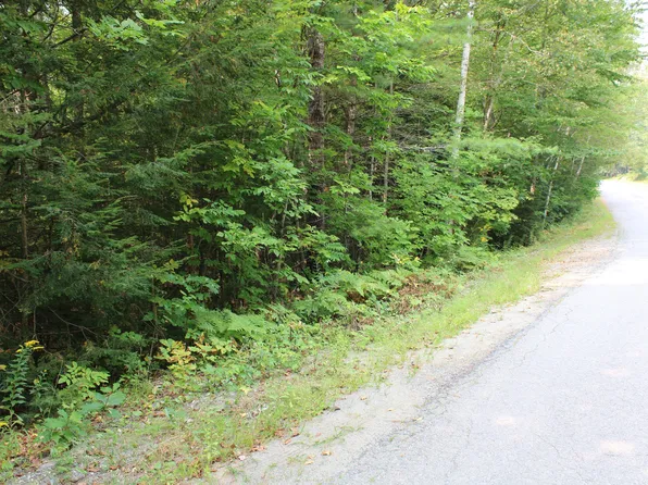 Lots 10&11 Tanglewood Drive, Bingham, ME 04912